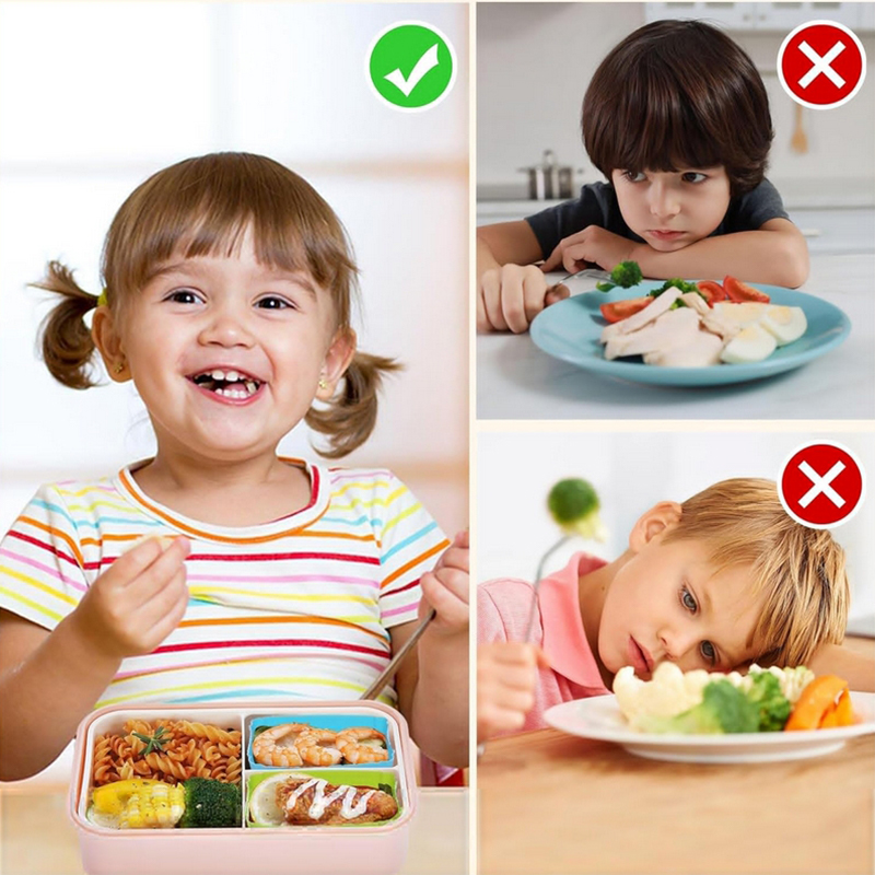 8PCS Silicone Lunch Box Divide - Bento Box review and price